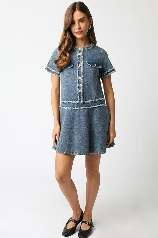 LADY ATTIRE DENIM DRESS